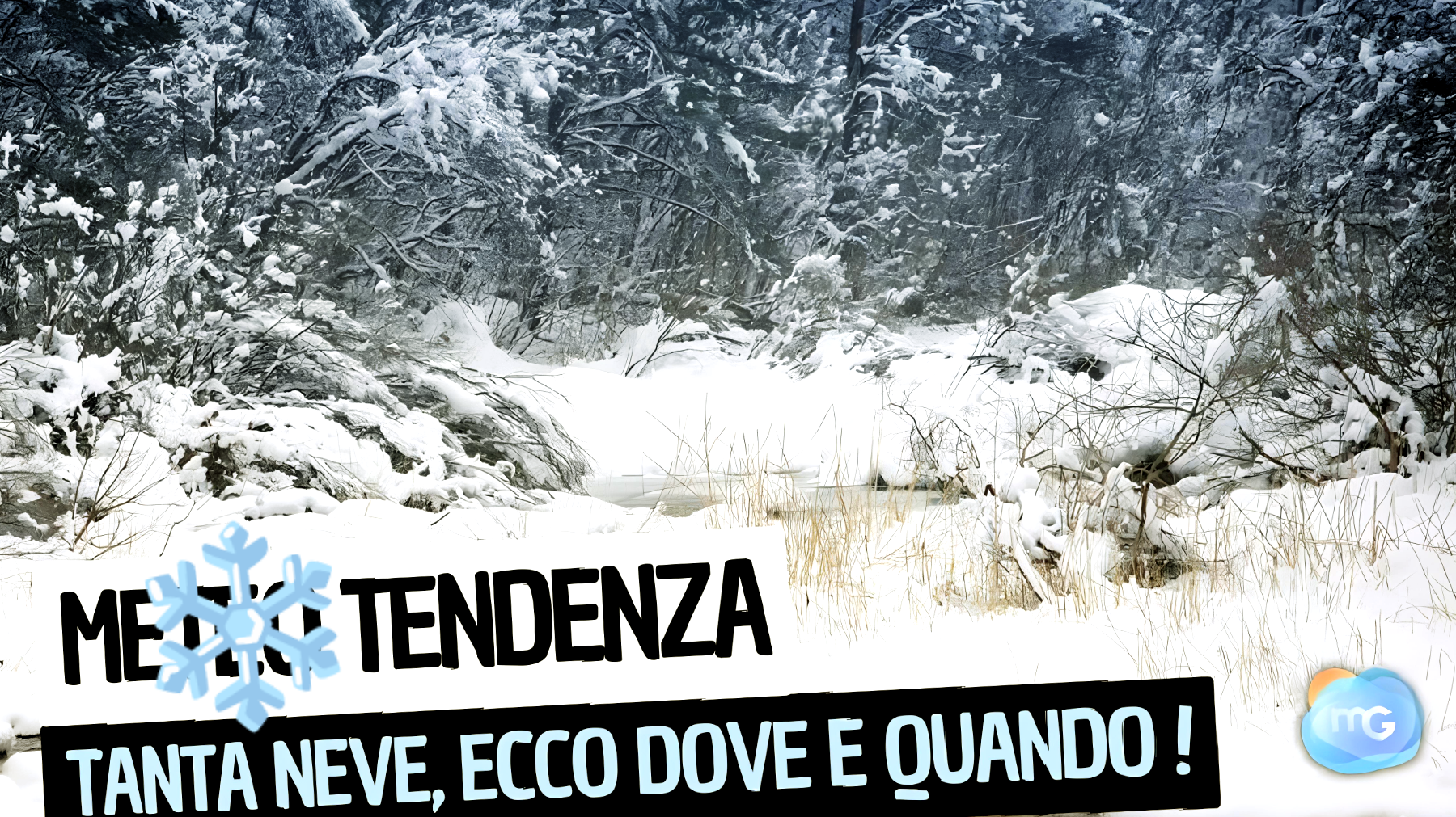 Neve in arrivo"